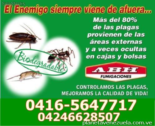 Fumigaciones barquisimeto c.a antiasmaticas no toxico
