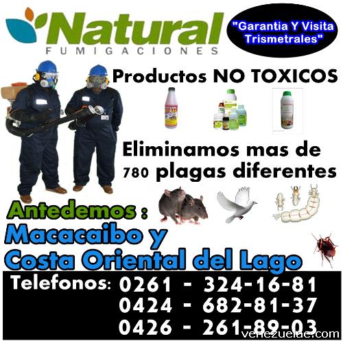 Empresa de fumigaciones en maracaibo y zulia natural
