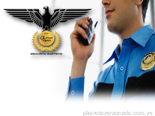 Alpha Team Segurity Systems