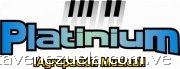 Grupo Platinium