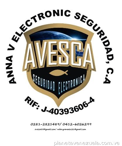 Anna V Electronic Seguridad, C.a.