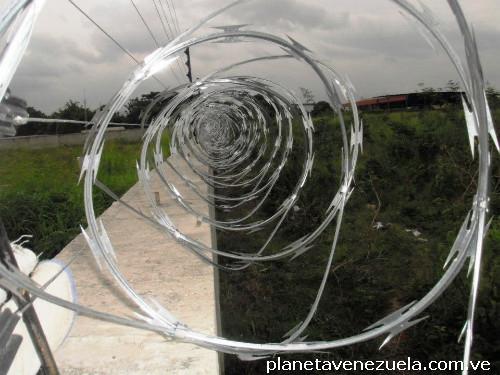 Concertina galvanizada de 45 cm