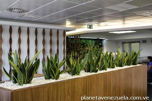 Jardines Y Paisajismos, Decoraciones