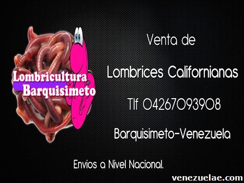 Lombrices Rojas Californianas en Venezuela tlf 04267093908