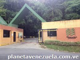 Vendo Acción De Club En Monteclaro