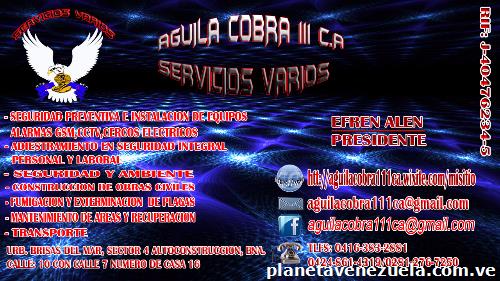 Servicios varios