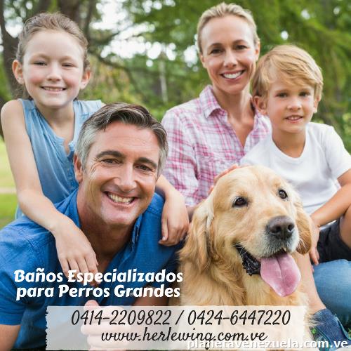 Baño Para Perros Grandes Maracaibo