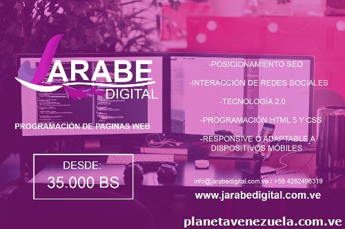 Programación de páginas web 35.000 Bs