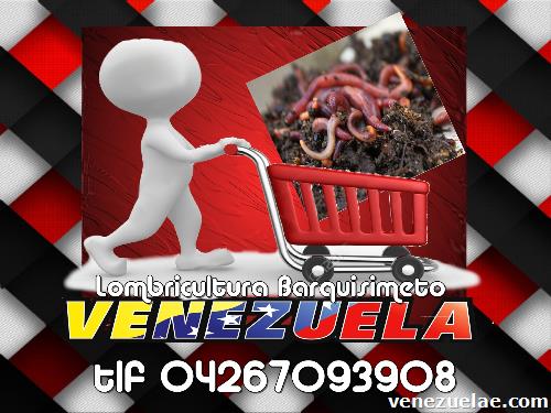 Lombrices Californianas Venezuela Lombricultura Barquisimeto