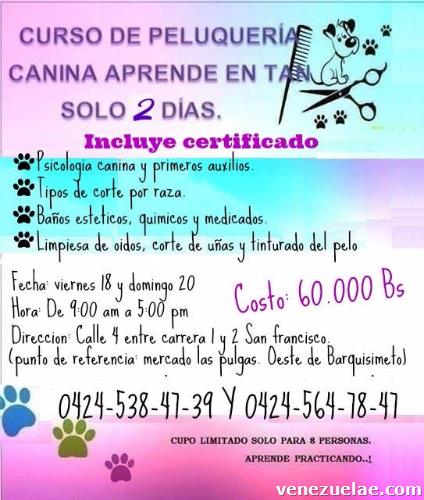 Curso Intensivo Peluquria Canina Barquisimeto.