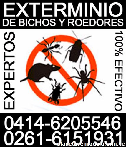 Fumigación y plomería altamira maracaibo 24 horas