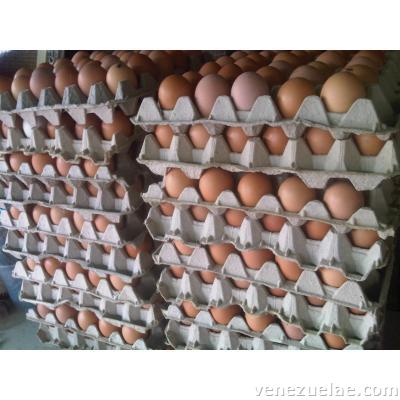 Distribuidora Puro Huevos