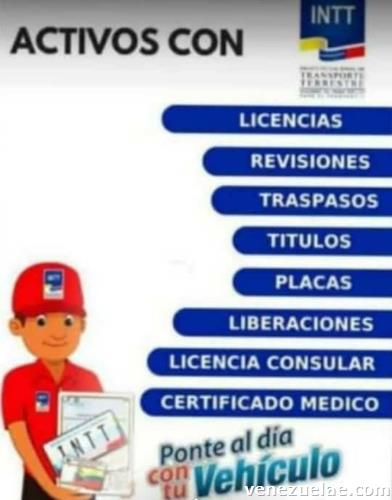 Cualquier Trámite Legal Y De Gestoría Relacionado Con Su Vehículo. Intt
