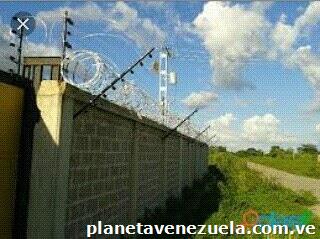 Electronic Service