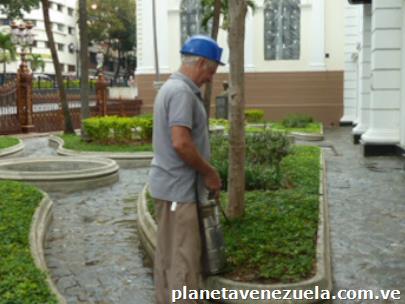 Fumigaciones En Caracas: Control De Plagas Y Fumigación