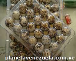 Ventas De Huevos De Codorniz Y Aves