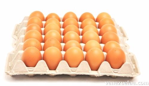 Vendo Huevos Por Cartón En Maracay A 100 Bss