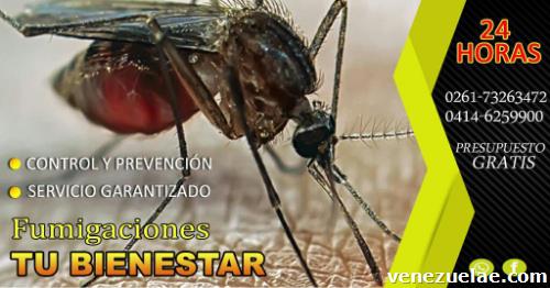 Fumigaciones antialérgicas