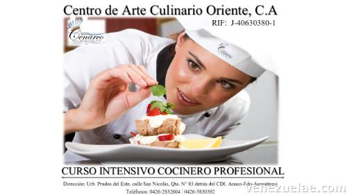 Curso de Cocinero Profesional y Otros