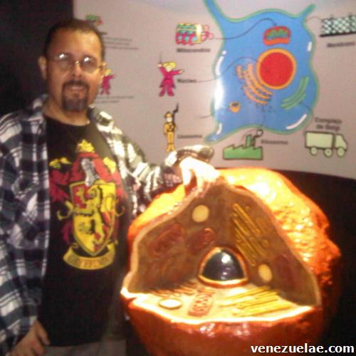 Profesor de Biología, Química y Metodología de la Investigación Bachillerato