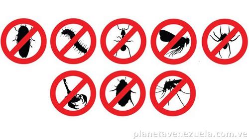 3g Servi C. A Fumigaciones