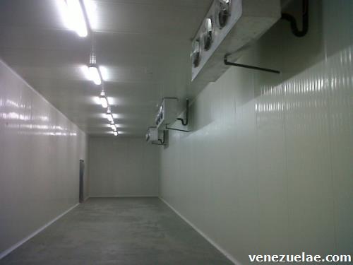 Reparación De Cava Cuarto Y Mantenimiento Preventivo