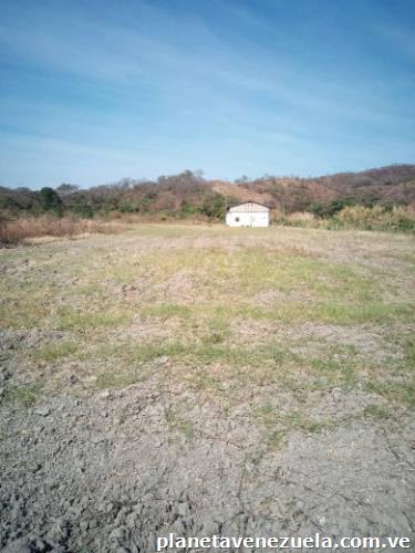 *se Vende* Terreno de Cuatro Hectáreas totalmente plano