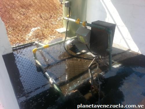 Fumigación expertos en termitas ratas cucarachas y Mas..