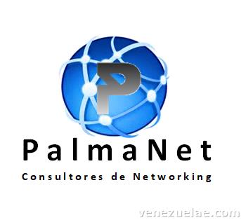 Palmanet Multiservicios de It y Networking