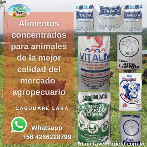 Agropecuaria Villa Turquesa