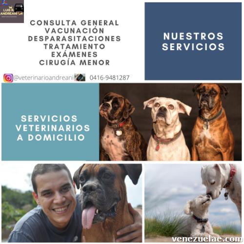 Veterinario A Domicilio En Caracas Y Miranda.