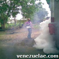 Fumigaciones, desinfecciones, nebulizaciones control y eliminación de roedores.