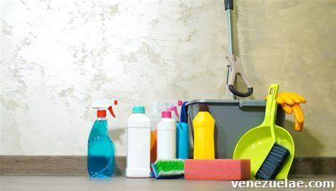 Realizó tareas del hogar