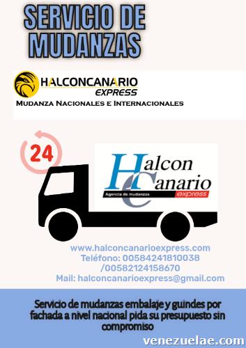 Halcón canario express