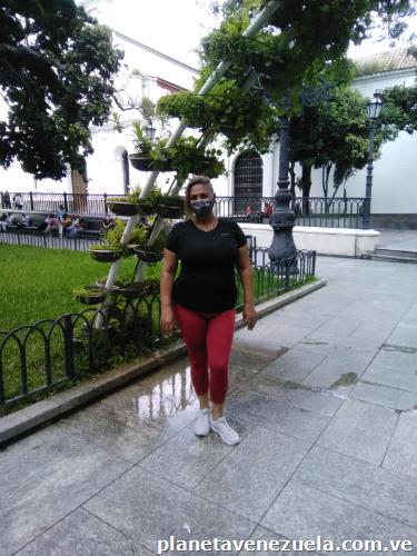 Estilista Profesional
