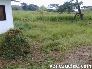 Cambio casa en Aguirre