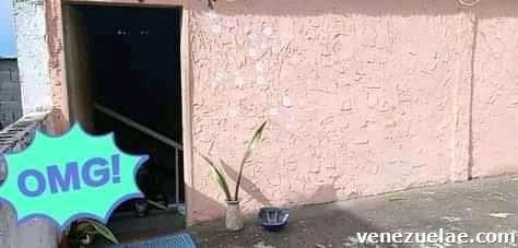 Vendo casa cómoda