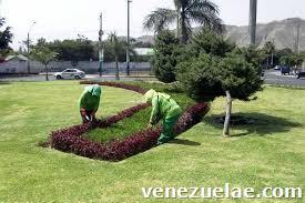 Servicio de Mantenimiento de Áreas Verdes - Jardinería