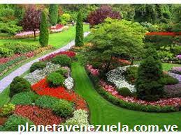 Servicio de Mantenimiento de Áreas Verdes - Jardinería