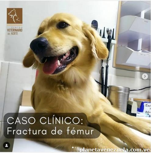 Centro Veterinario del Norte