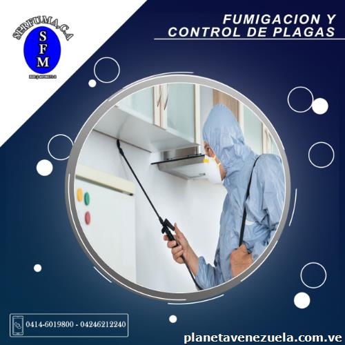 Servicio de fumigación y mantenimiento. c. a