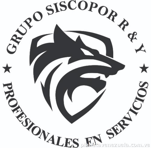 Seguridad y Vigilancia Vip