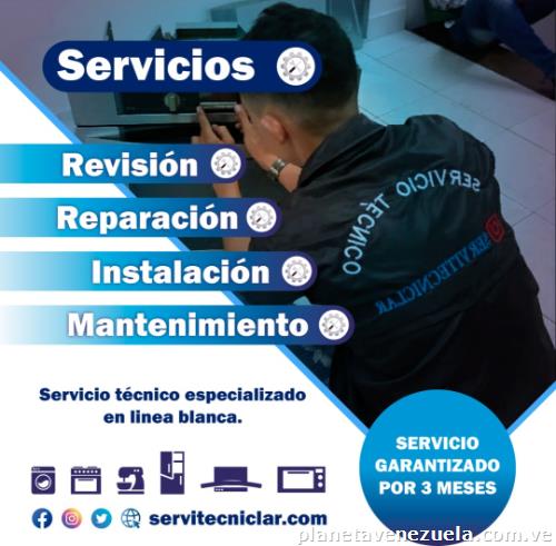 Servicio Técnico Reparación De Horno Eléctrico A Gas Hasta Industrial