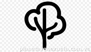 Servicios de Poda y Desmalezado de Jardín