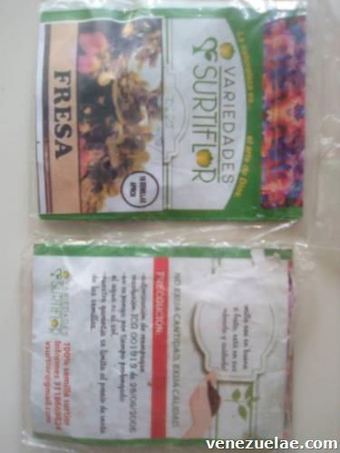 Semillas de fresas