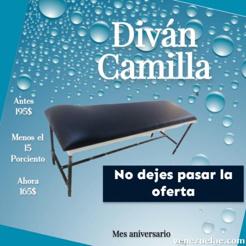 Camilla Diván Para Examen Fijo