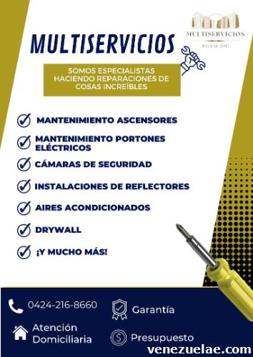 Multiservicios wilray