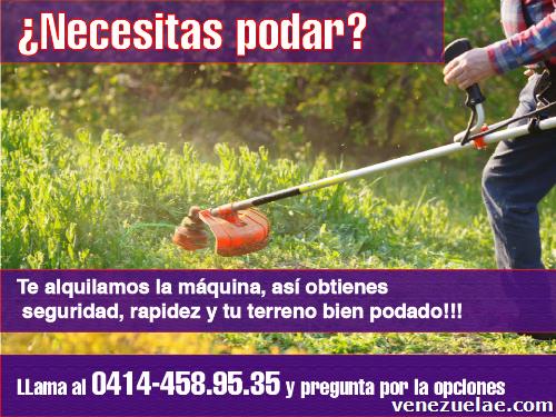 Mantenimiento de jardines, desmalezadora