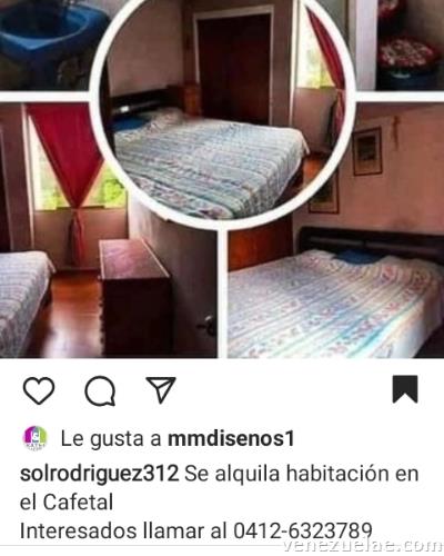 Alquiler de habitación en el Cafetal