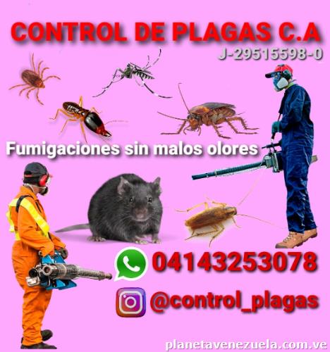 Fumigación Sin Malos Olores